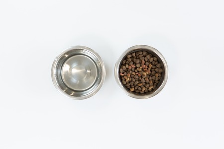 Dry dog food in metal bowl, top view and flat layの写真素材