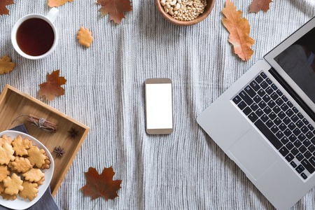 View from above of autumn background with mobile phone, laptop, autumn leaves, cookies, vintage book on knitted background. Top view and flat layの写真素材