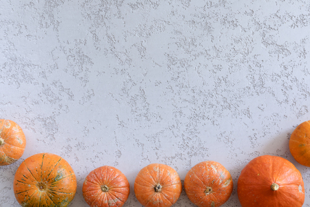 View from above of different pumpkins, maple leaves on autumn background, flat lay. Halloween or thanksgiving frame on plaster deskの写真素材