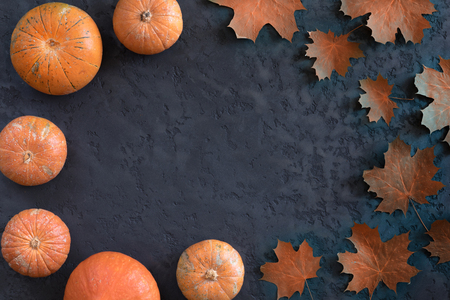 View from above of different pumpkins, maple leaves on autumn background, flat lay. Halloween or thanksgiving frame on plaster deskの写真素材