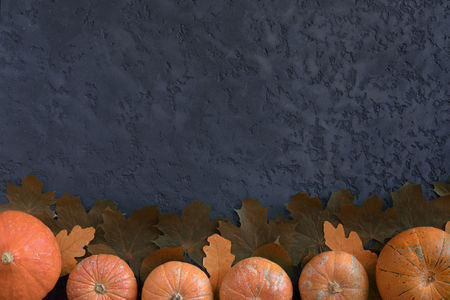 View from above of different pumpkins, maple leaves on autumn background, flat lay. Halloween or thanksgiving frame on plaster deskの写真素材