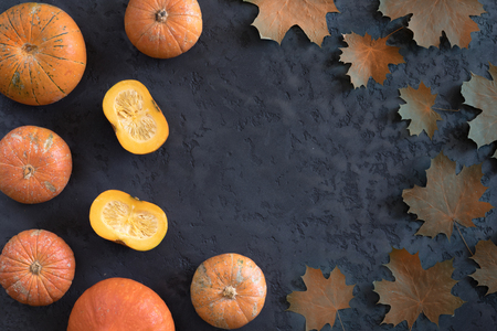 View from above of different pumpkins, maple leaves on autumn background, flat lay. Halloween or thanksgiving frame on plaster deskの写真素材