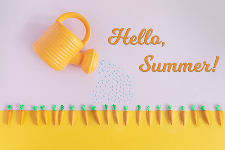 Summertime concept with bright color carrot beds and watering can, top view and flat lay. Hello Summer text.