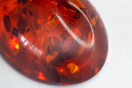 Macro heat treated deep orange amber cabochon with circular inclusions isolated on white surfaceの写真素材