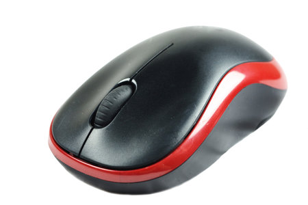 mouse