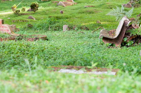Tranquility in a cemetery.の写真素材