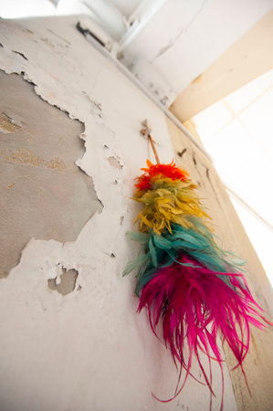A colorful feather duster hanging on a weathered and aged wallの写真素材