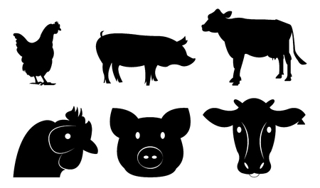 Set of livestock for design and info graphicのイラスト素材
