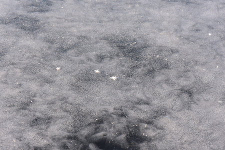 ice on the branches close up frozen river