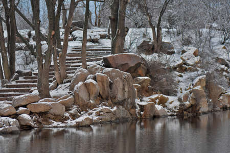 Duck on the lake in the winterの写真素材
