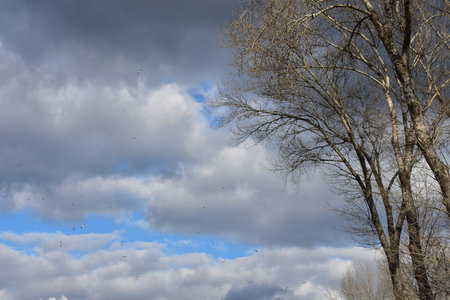Cloudy winter day with amazing sky