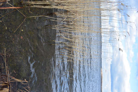 Cloudy winter day in the cityの写真素材