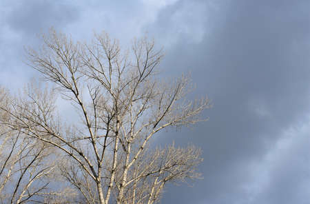 Cloudy winter day in the cityの写真素材