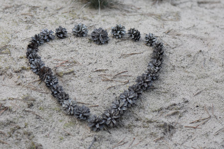 Pine cone heart shape on the sand