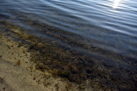 Sand bottom of river