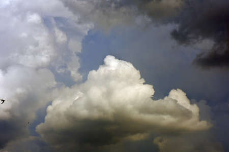 white clouds in the skyの写真素材