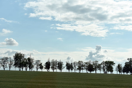 clouds over the forest and road