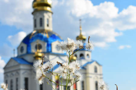 church of the holy trinityの写真素材