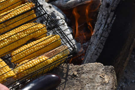corn on the grill in the forestの写真素材