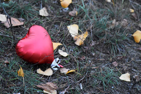 ballon heart in the autumn forestの写真素材