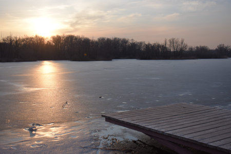 landscape with dry reeds in sunsetの写真素材