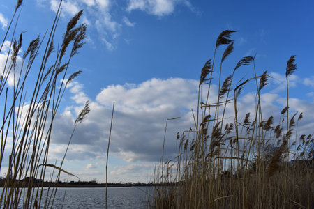 clouds over the river