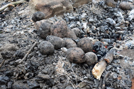 baked potatoes close up in campfireの写真素材