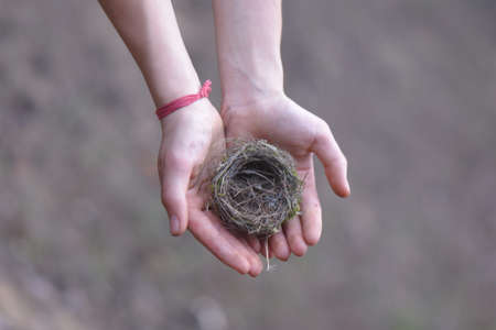 Bird nest in handsの写真素材