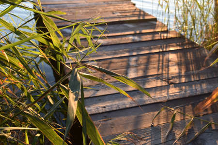 wooden bridge on the lakeの写真素材