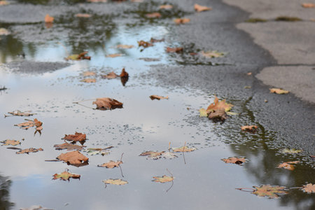 sky reflection in puddle with autumn leaves