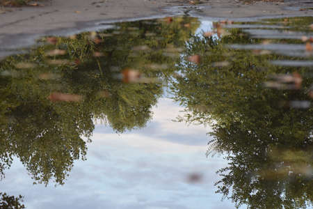 sky reflection in puddle with autumn leavesの写真素材