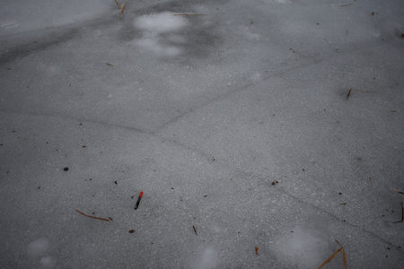 stone in the ice on the beach