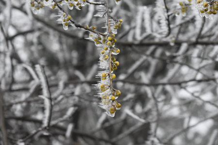 winter in mountains