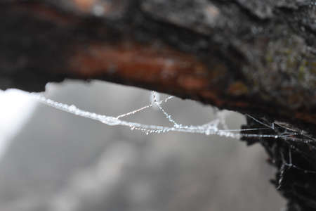 winter in mountainsの写真素材