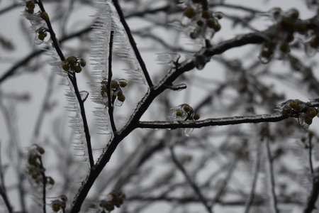 winter in mountainsの写真素材