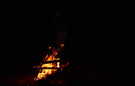 Bonfire in the forest at night. Bonfire in the forest at night.
