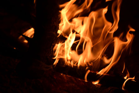 Flames of a campfire in the night. Close-up.の写真素材