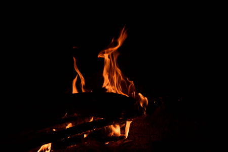 Flames of a campfire at night on a black background.