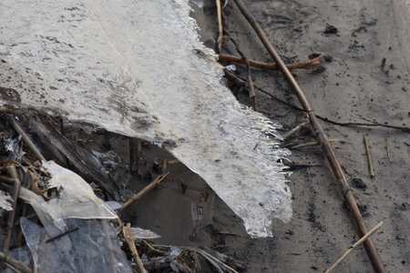 Icicles on the ground in winter, closeup of photoの写真素材