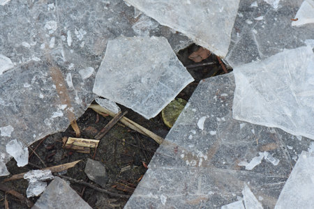 Pieces of ice on the ground. Winter background. Close-up.