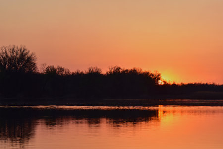 sunset on the river, trees on the shore, orange skyの写真素材