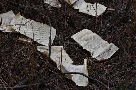 Crumpled paper pages from a book on the ground in the pine forest. Environmental pollution conceptの写真素材