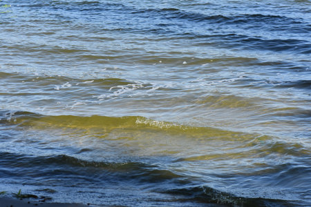 The surface of the water with waves and foam, close-up