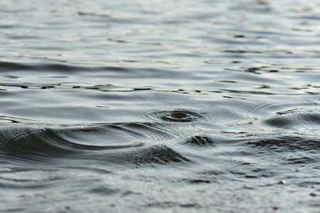Water surface with ripples and waves. Abstract background. Selective focus.