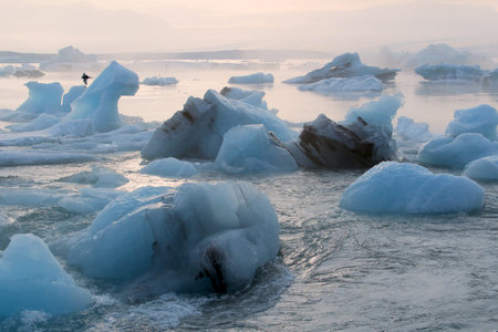 Iceberg in the glacier lagoon. Summer season. Iceland