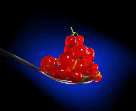 Red currants in spoon on a blue backgroundの写真素材