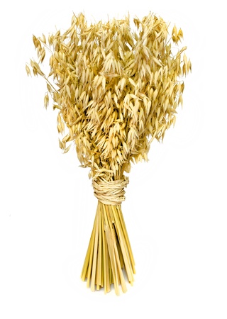 Oats bouquet isolated on whiteの写真素材