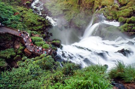 The Argentine side of Iguazu National Parkの写真素材