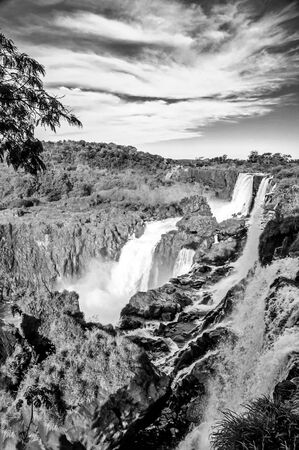 The Argentine side of Iguazu National Parkの写真素材