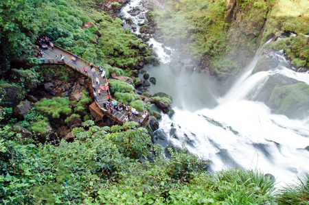The Argentine side of Iguazu National Parkの写真素材